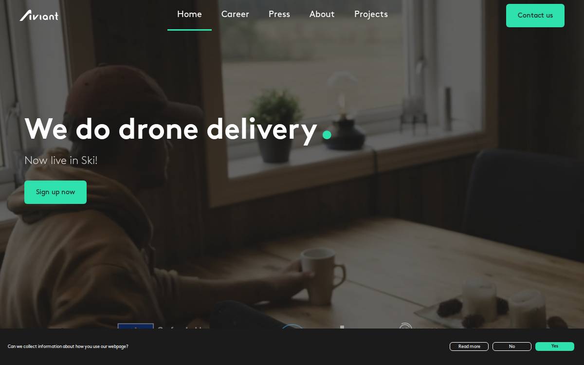 Aviant website preview