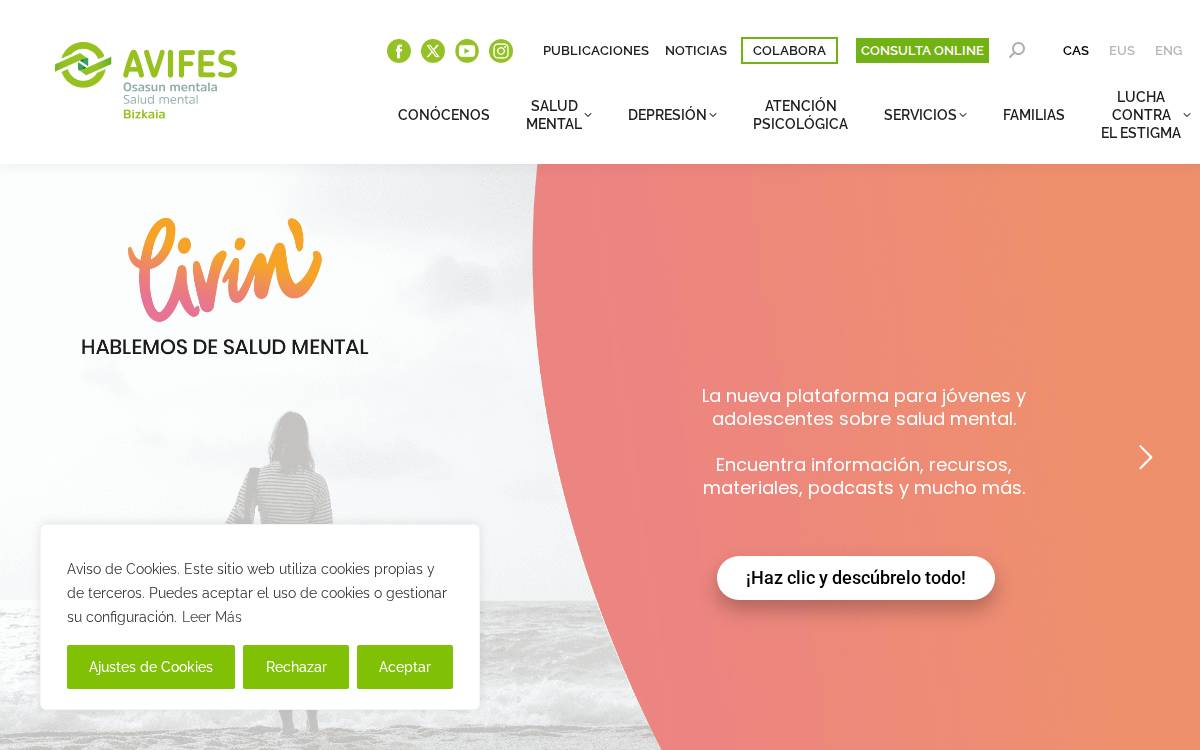 Avifes website preview
