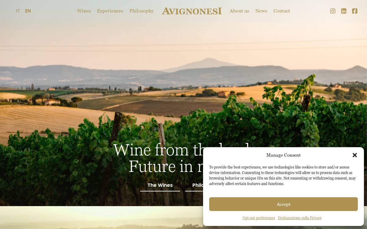 Avignonesi website preview