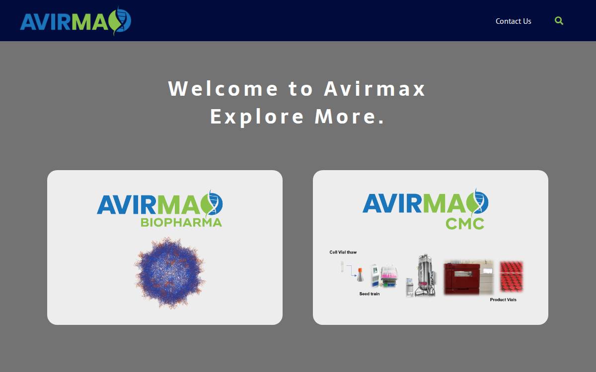 Avirmax website preview