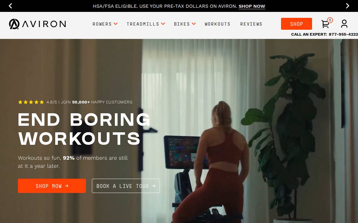 Aviron Interactive website preview