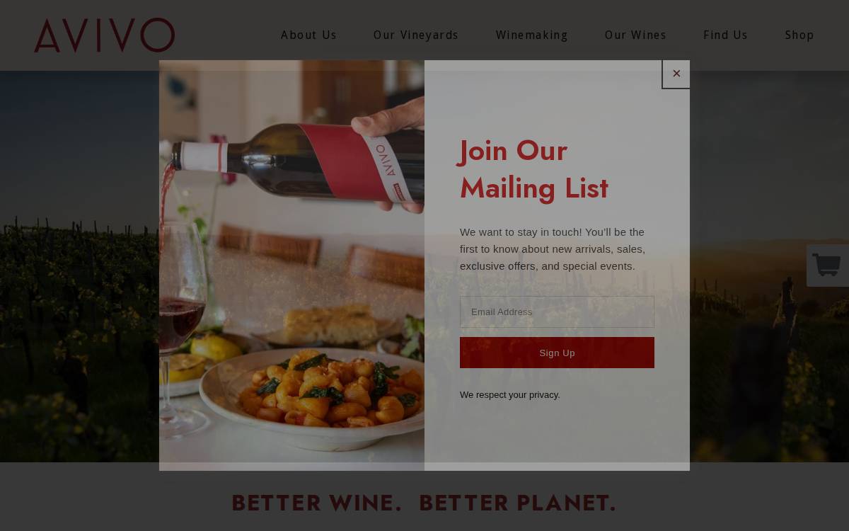Avivo website preview