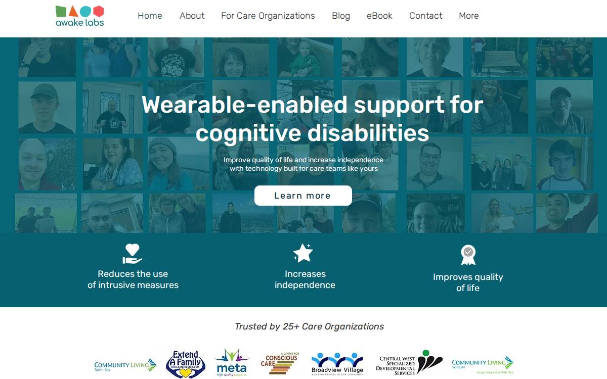 Awake Labs website preview