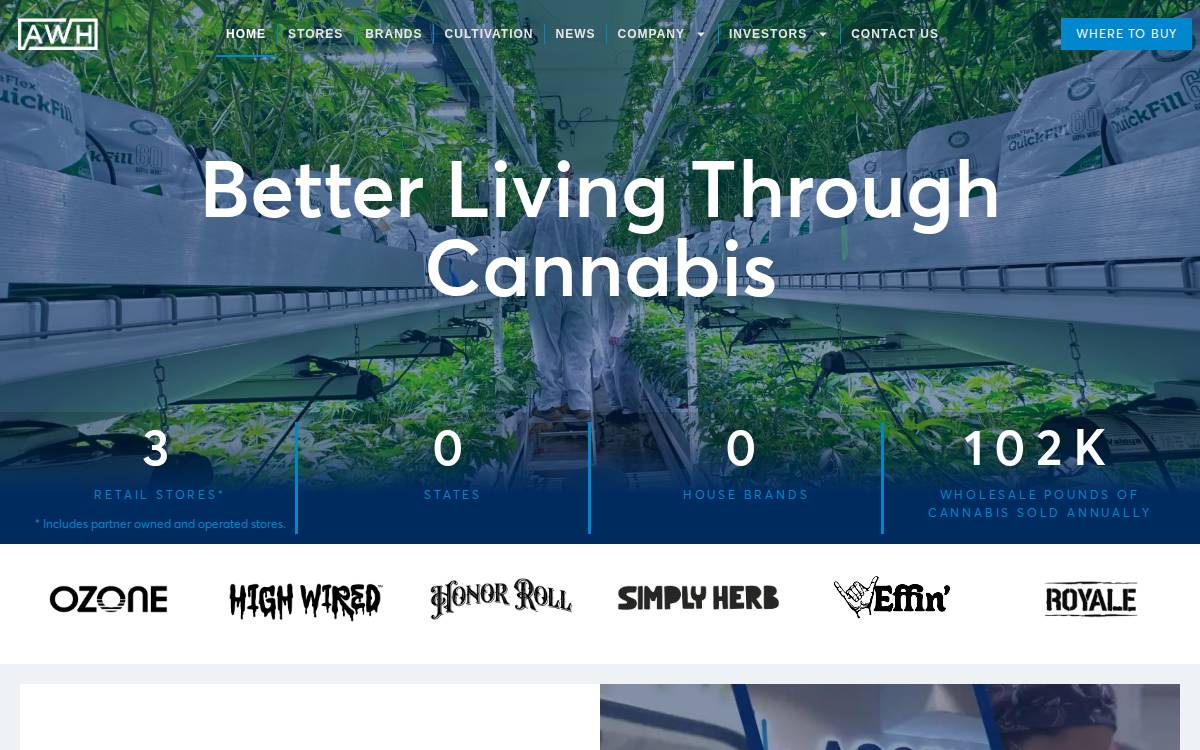 Awholdings website preview