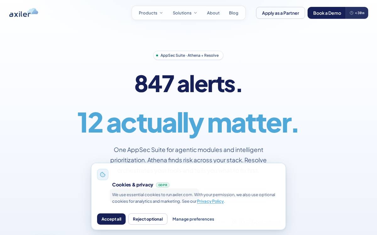 Axiler website preview