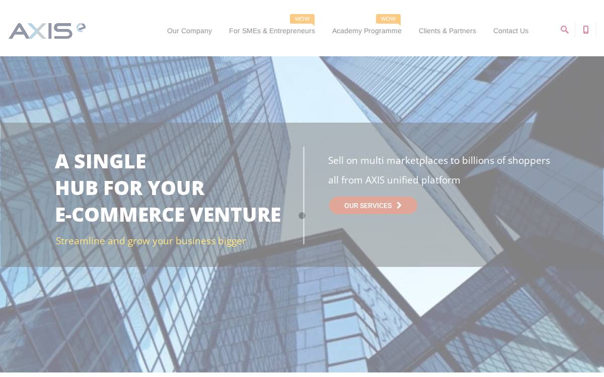 Axis Network Technology website preview