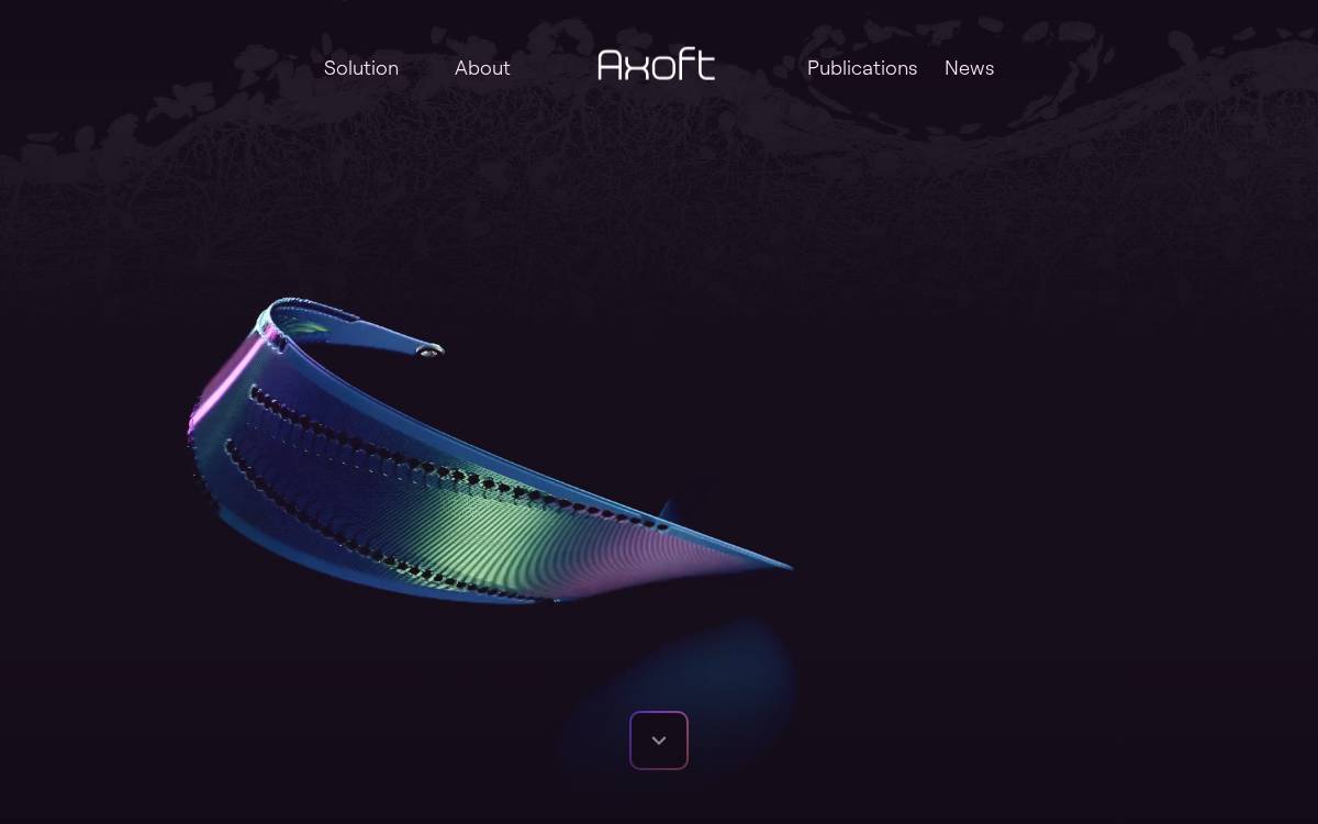 Axoft website preview