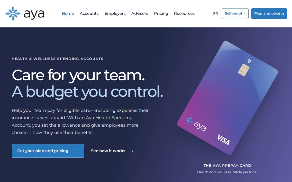 Aya Payments website preview