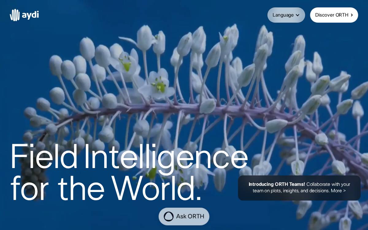 Aydi website preview