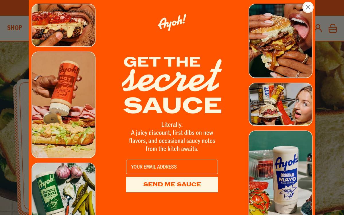 Ayoh Foods website preview