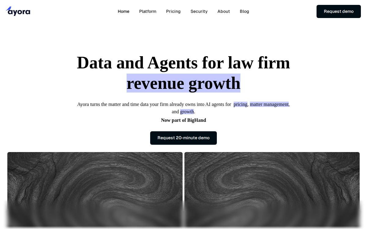 Ayora website preview