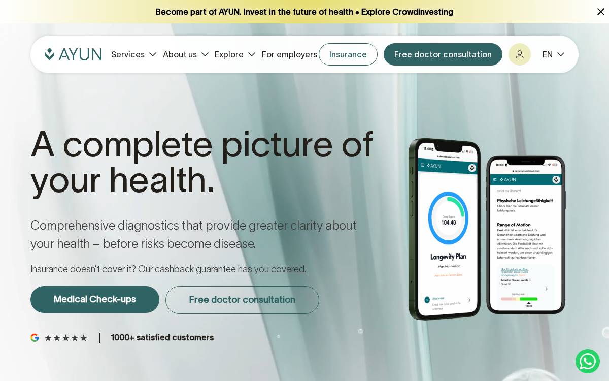 Ayun website preview