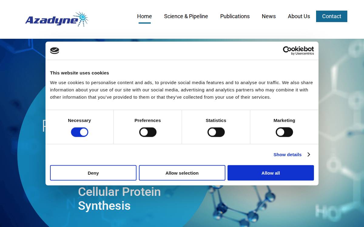 Azadyne website preview