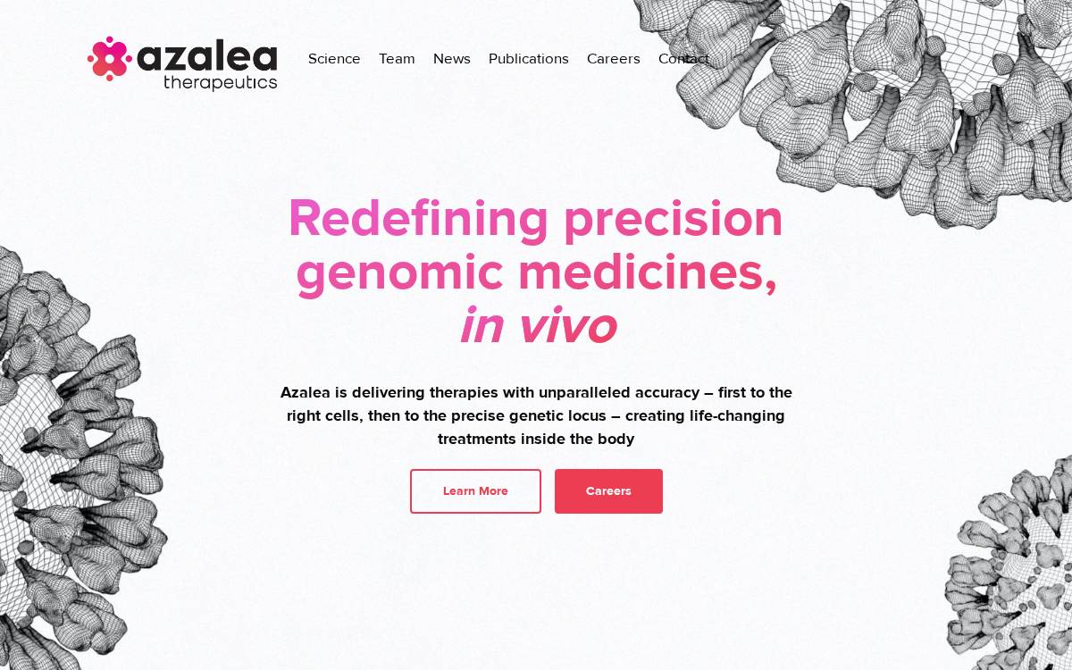 Azalea Therapeutics website preview