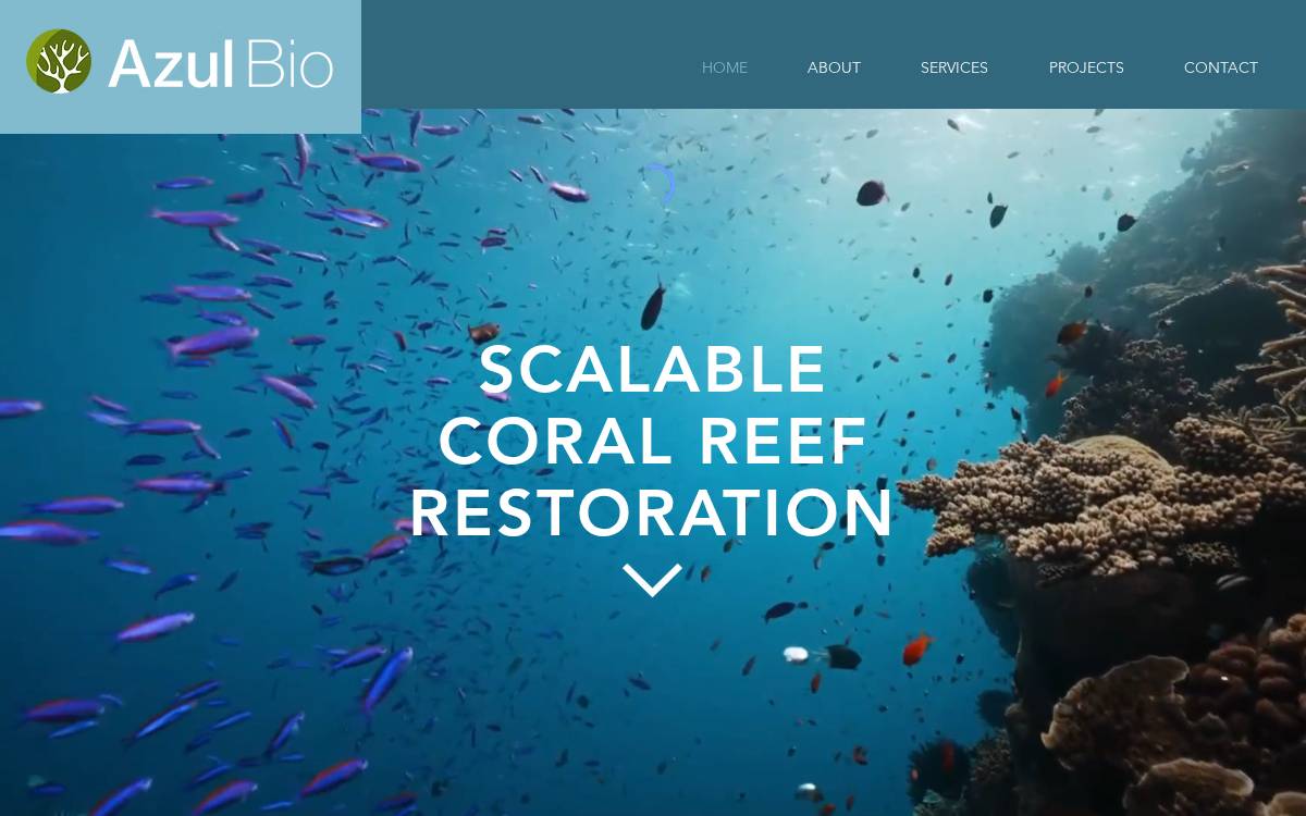 Azulbio website preview