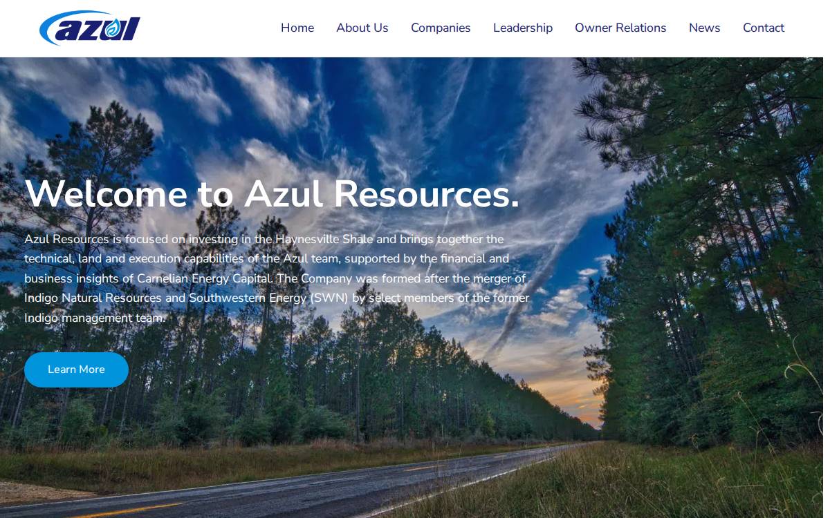 Azulresources website preview