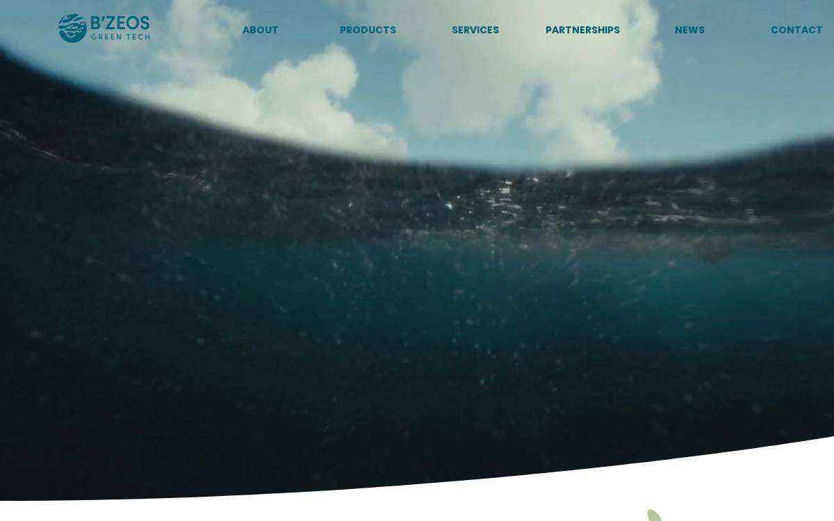 B'ZEOS website preview