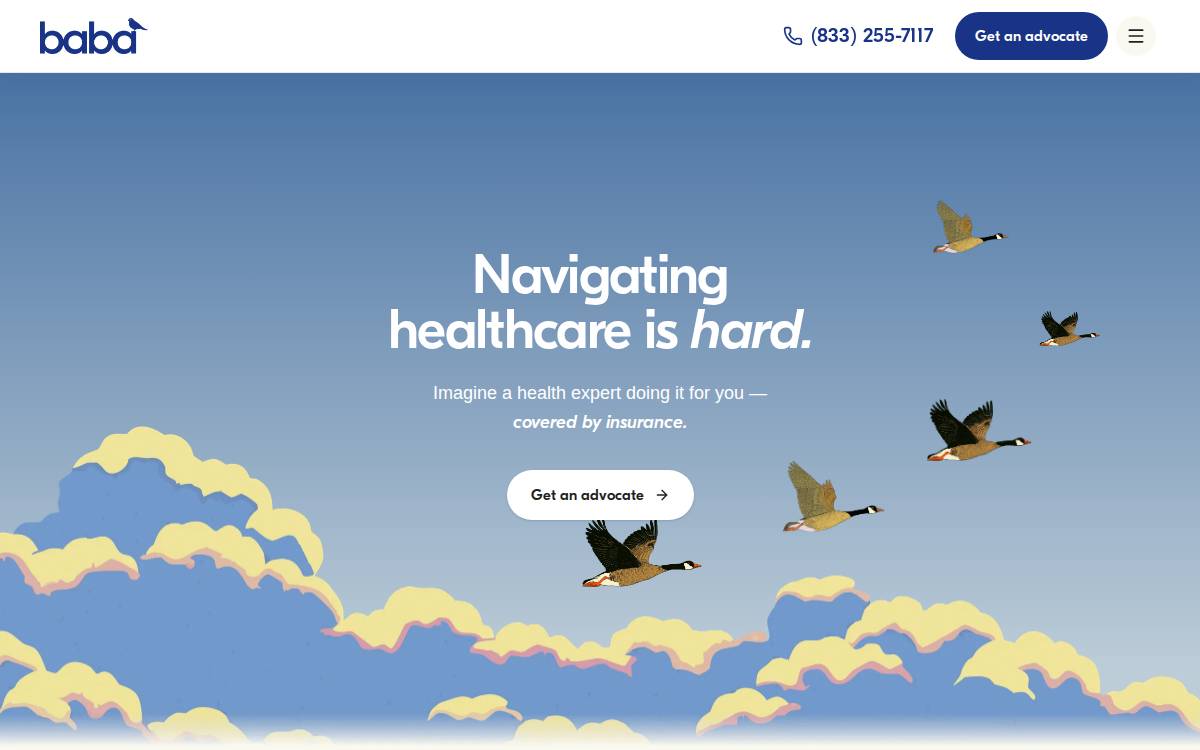 Baba website preview