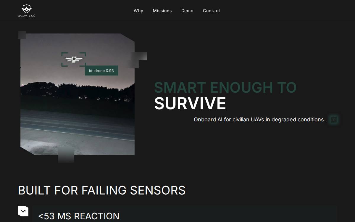 Babayte website preview