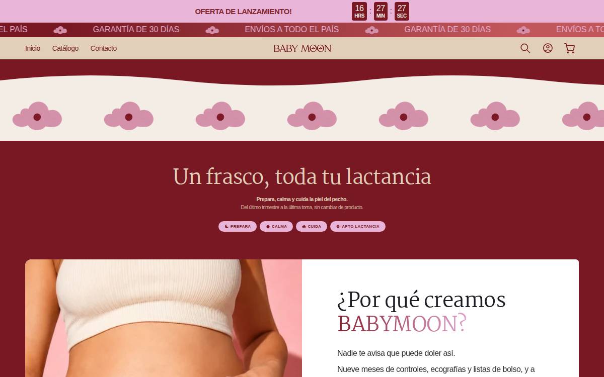 Babymoon website preview