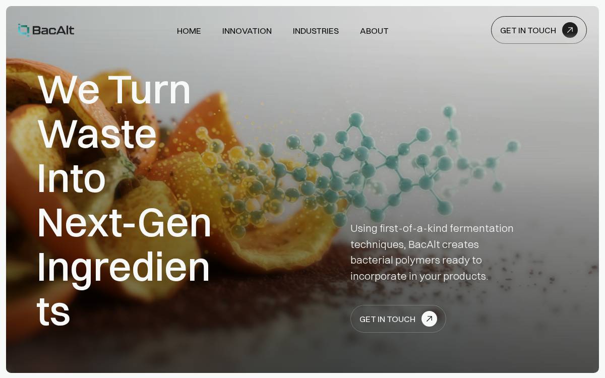 Bacalt website preview