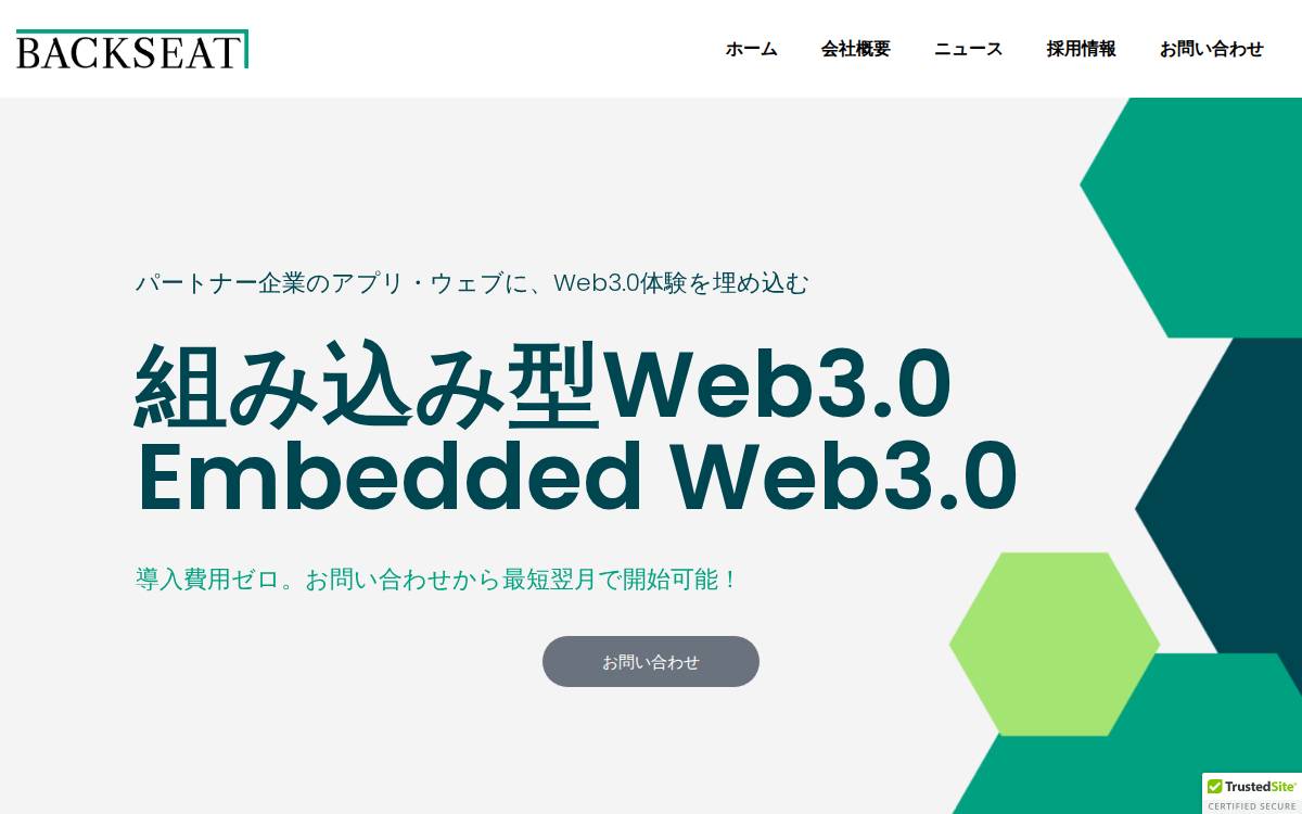Backseat Inc website preview