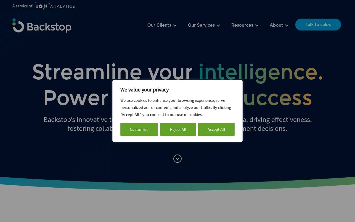 Backstopsolutions website preview