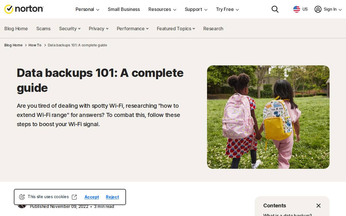 Backup website preview