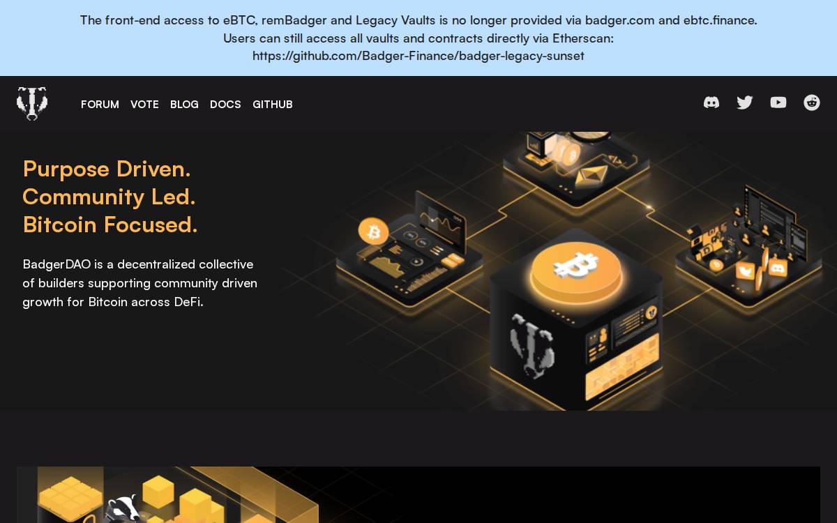 BadgerDAO DeFi website preview