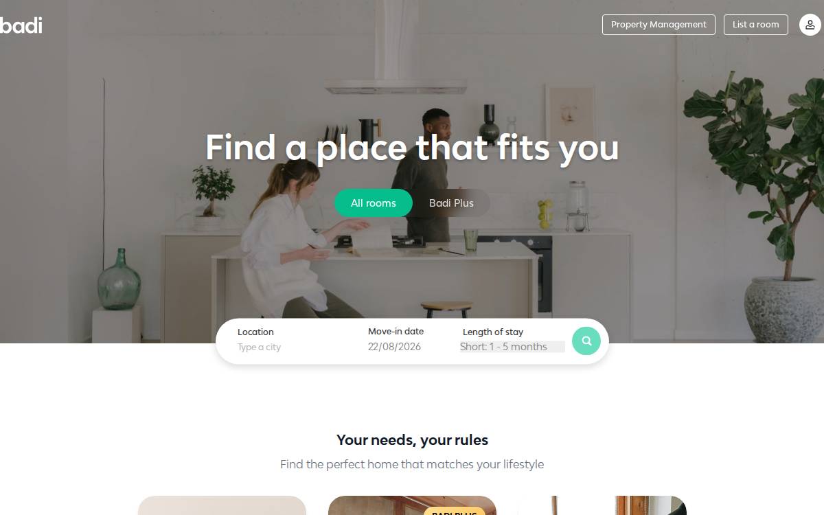 Badi website preview