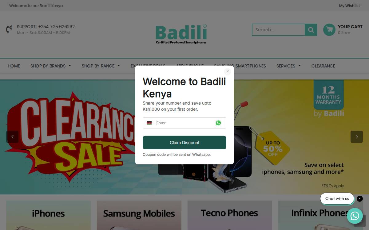 Badili website preview