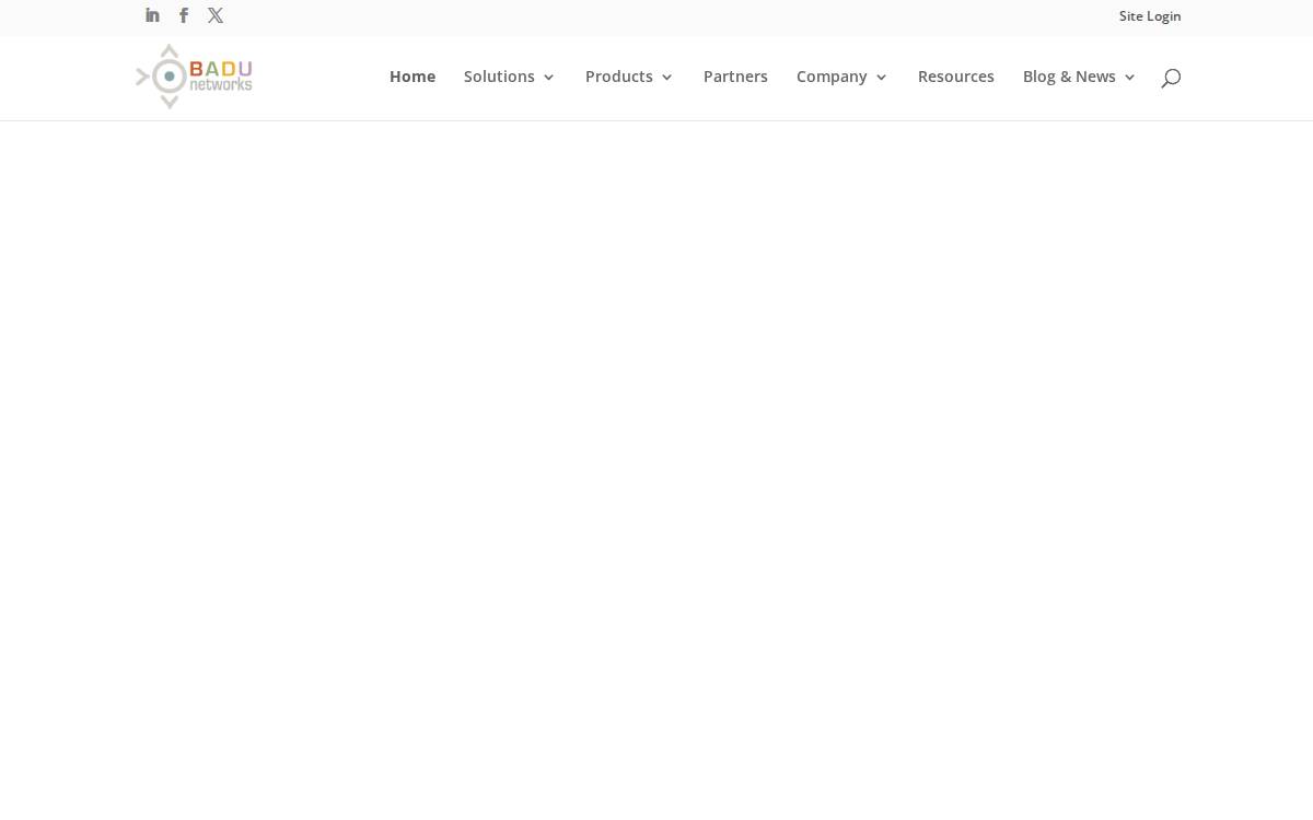 Badu Networks website preview