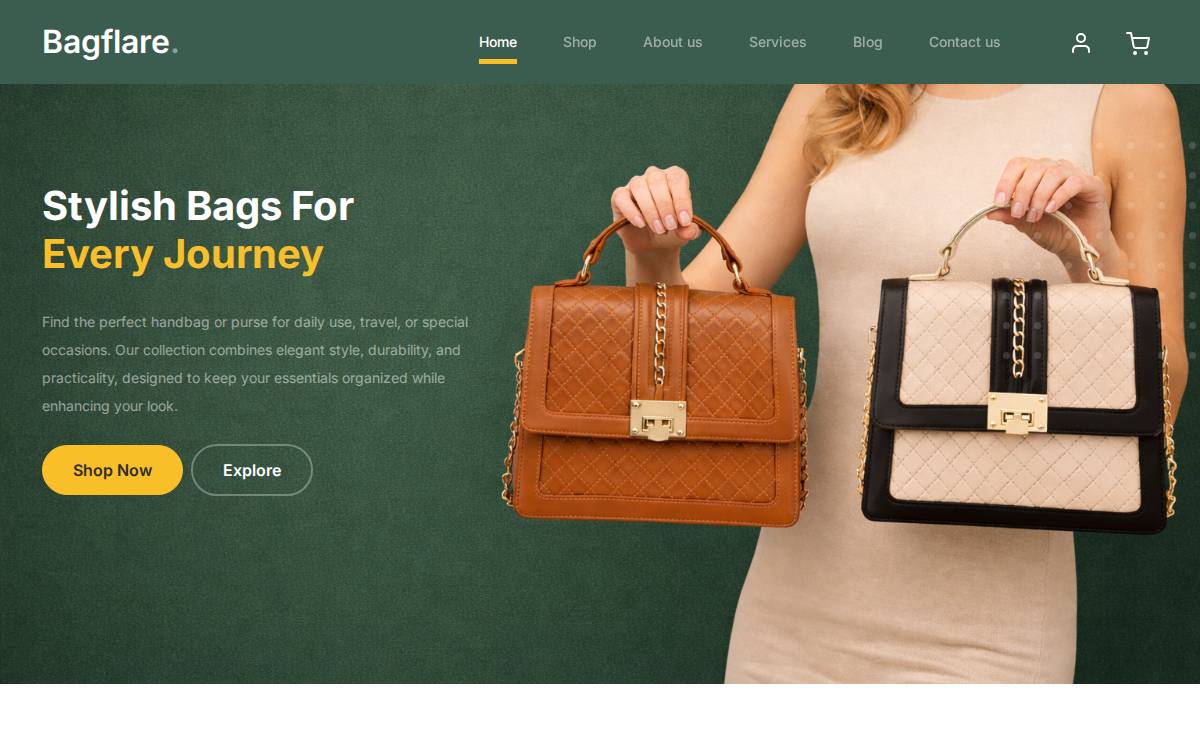 Bagflare website preview