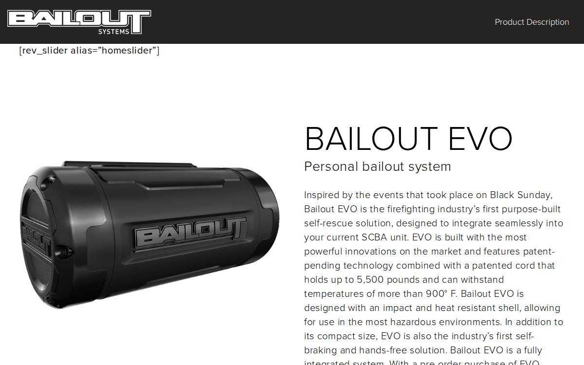 Bailoutsystems website preview