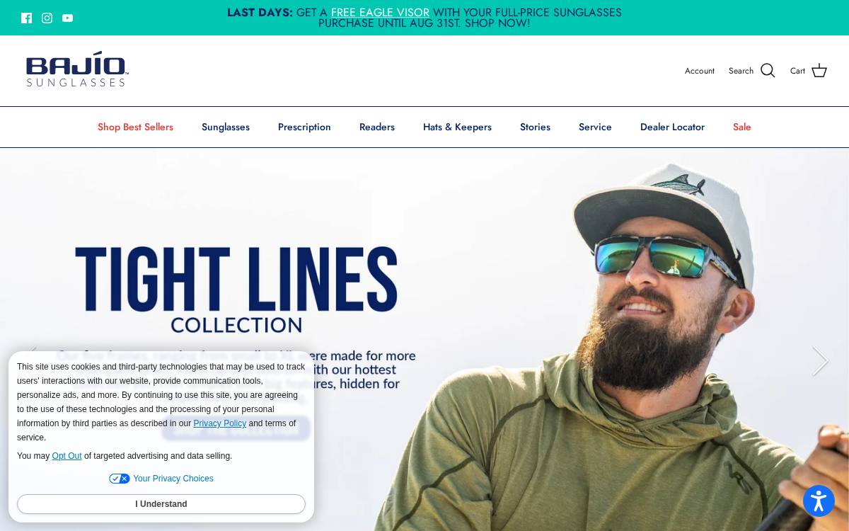 Bajio website preview