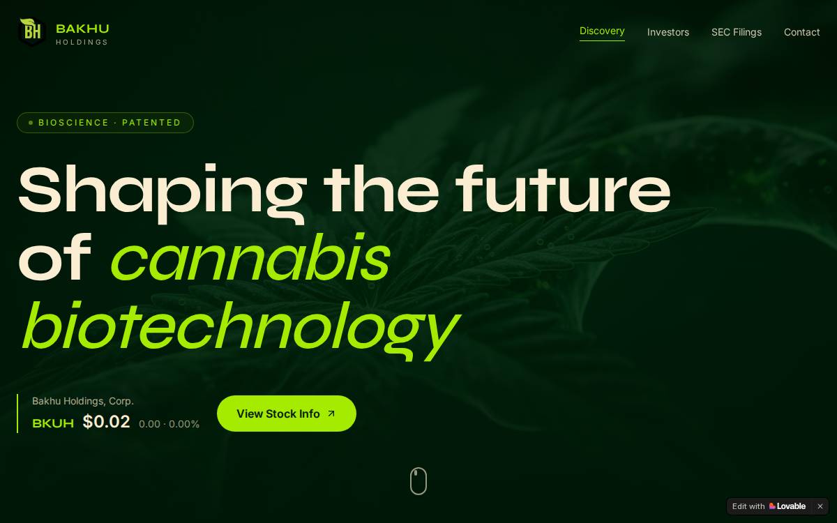 Bakhu Holdings website preview
