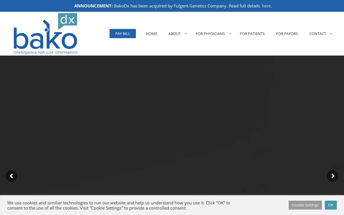 Bakodx website preview