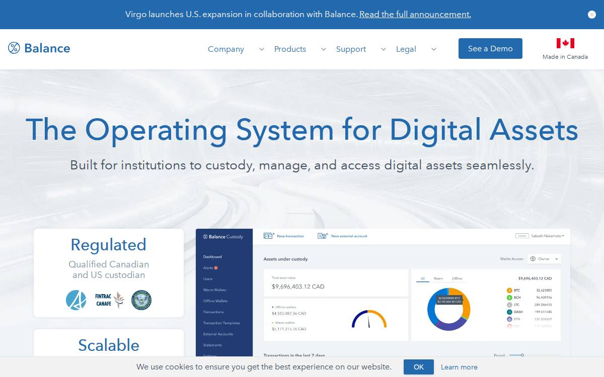Balance website preview