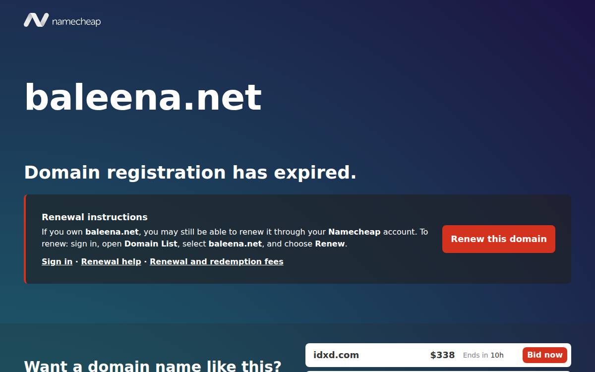 Baleena website preview