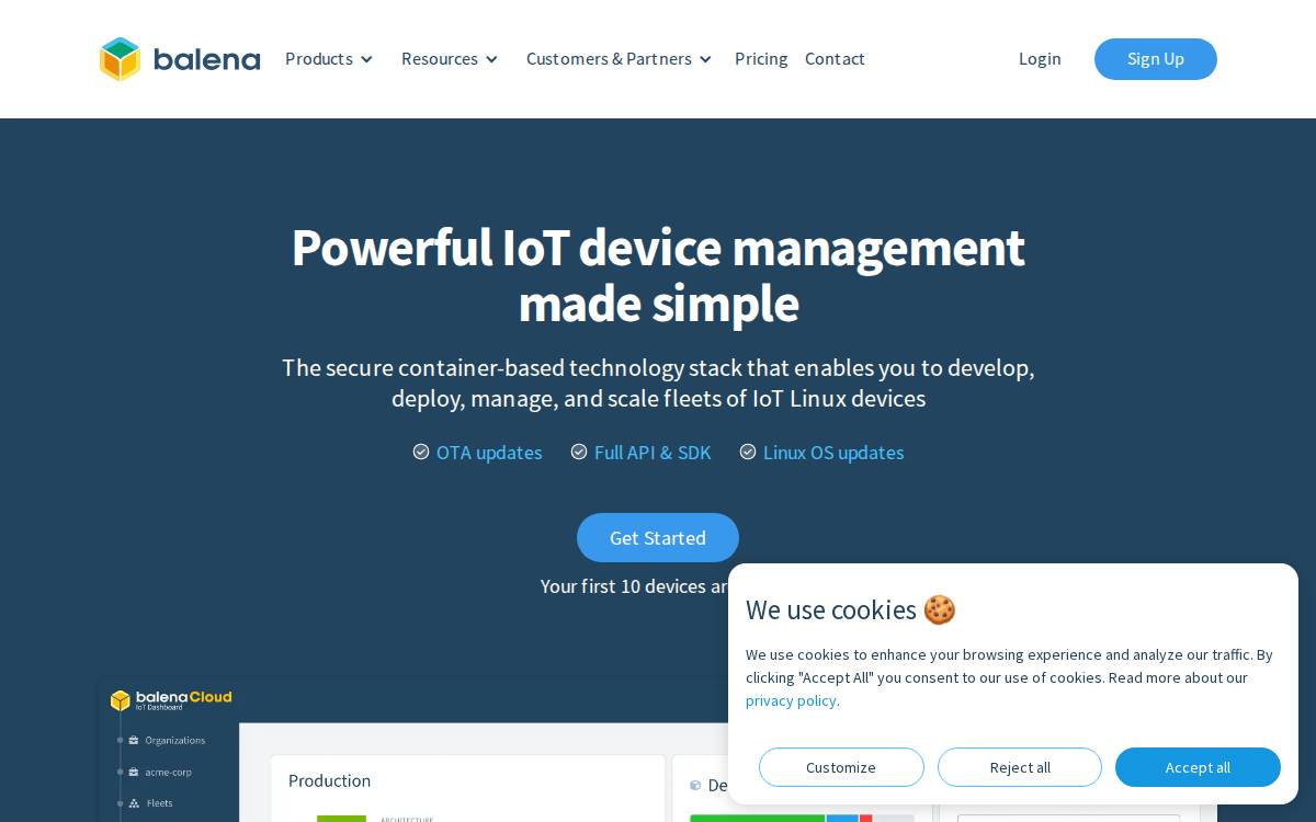 Balena website preview
