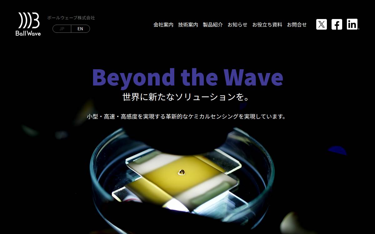Ballwave website preview