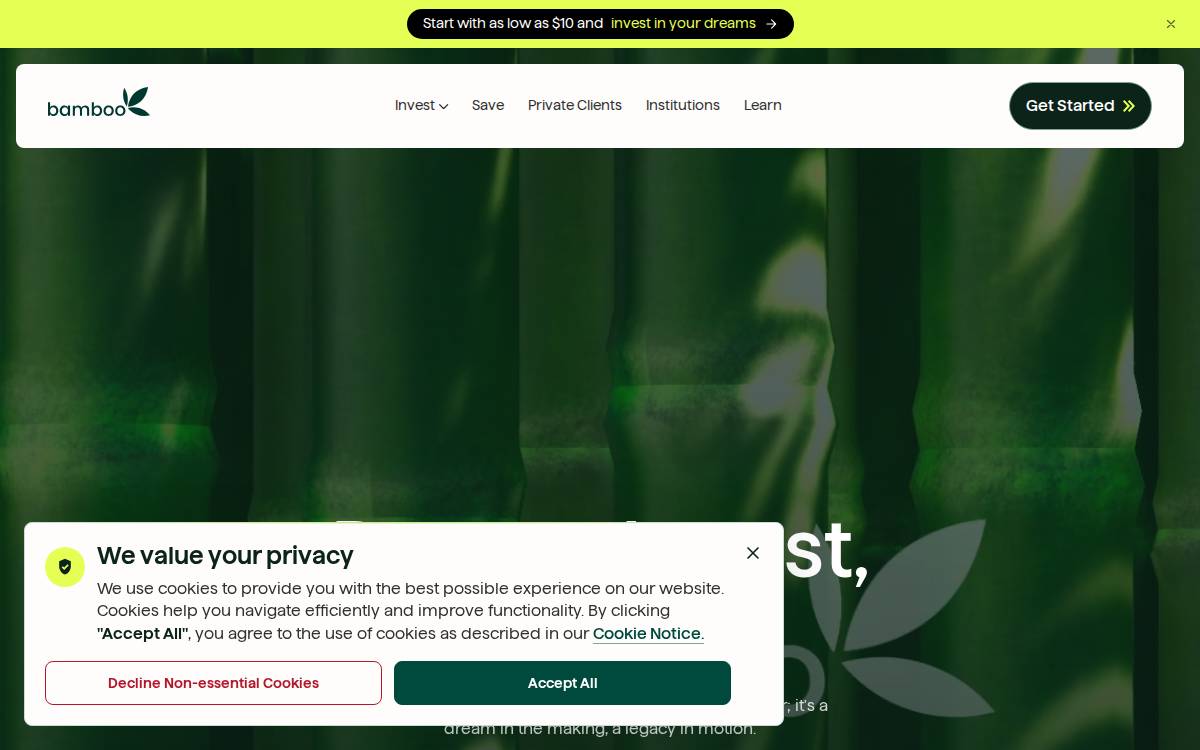 Bamboo website preview