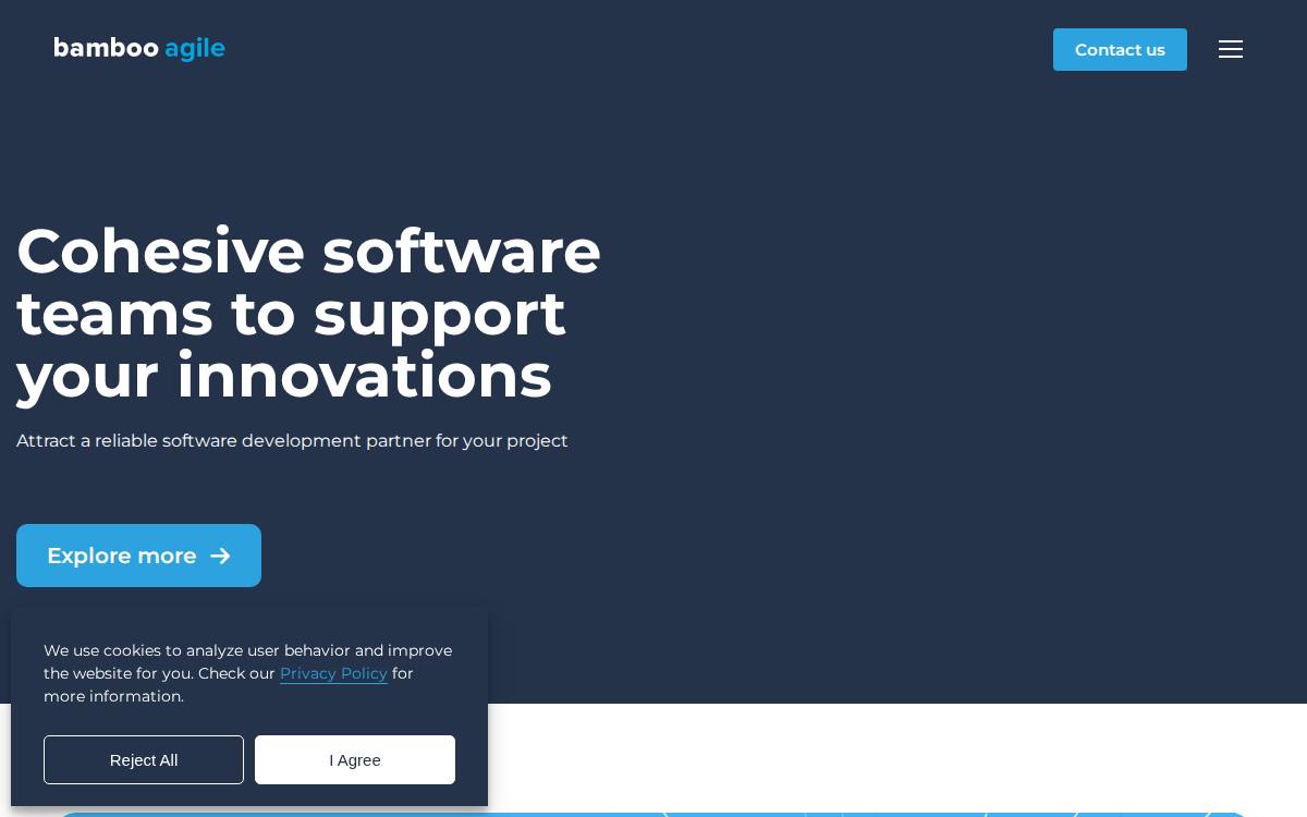 Bamboo Agile website preview