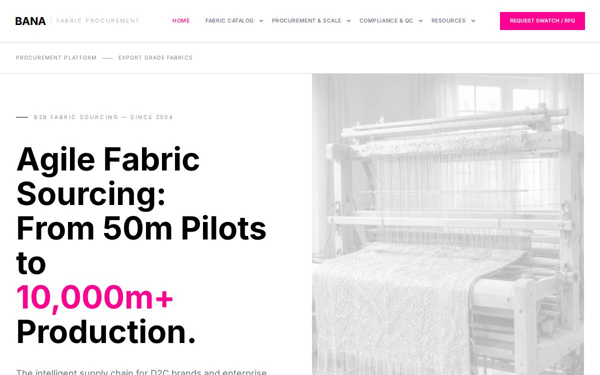 Bana website preview