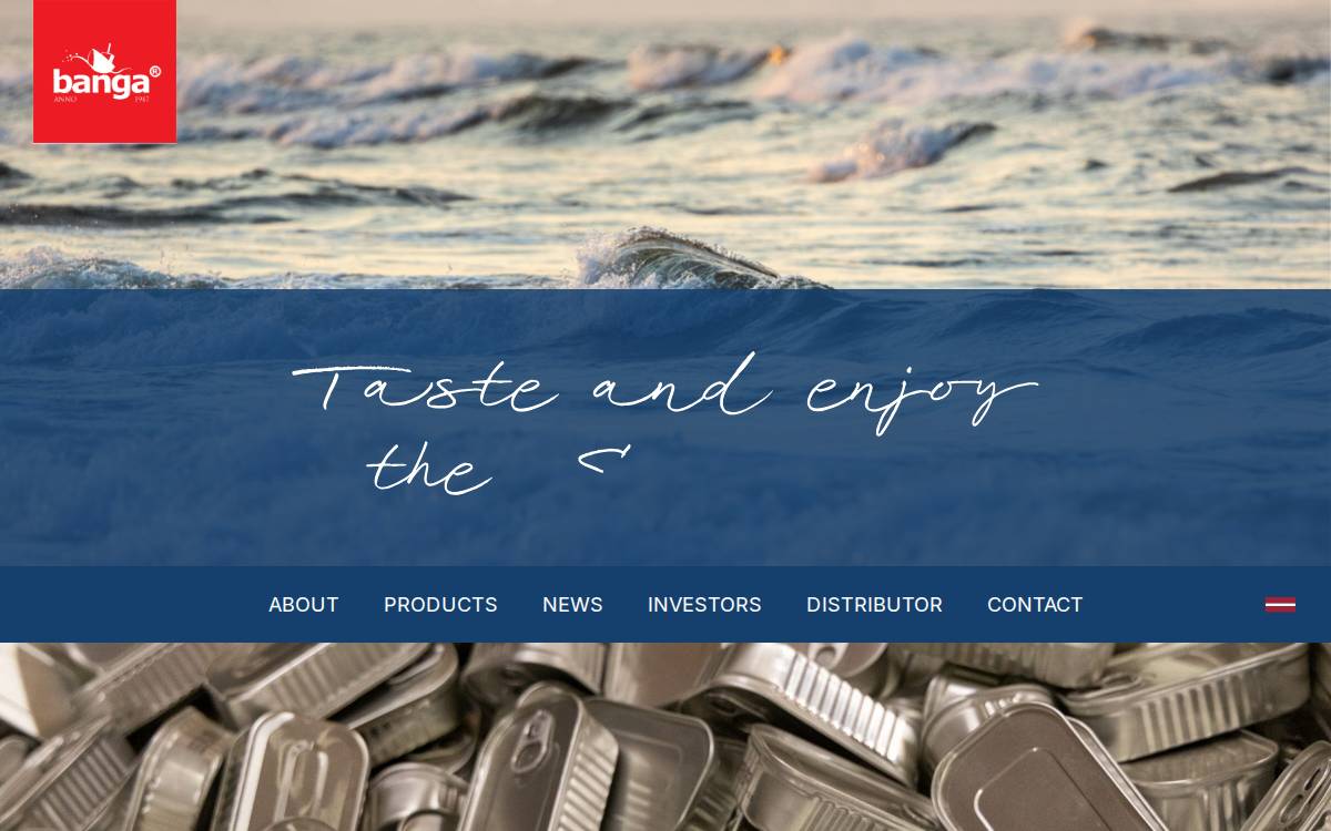 Banga Ltd website preview