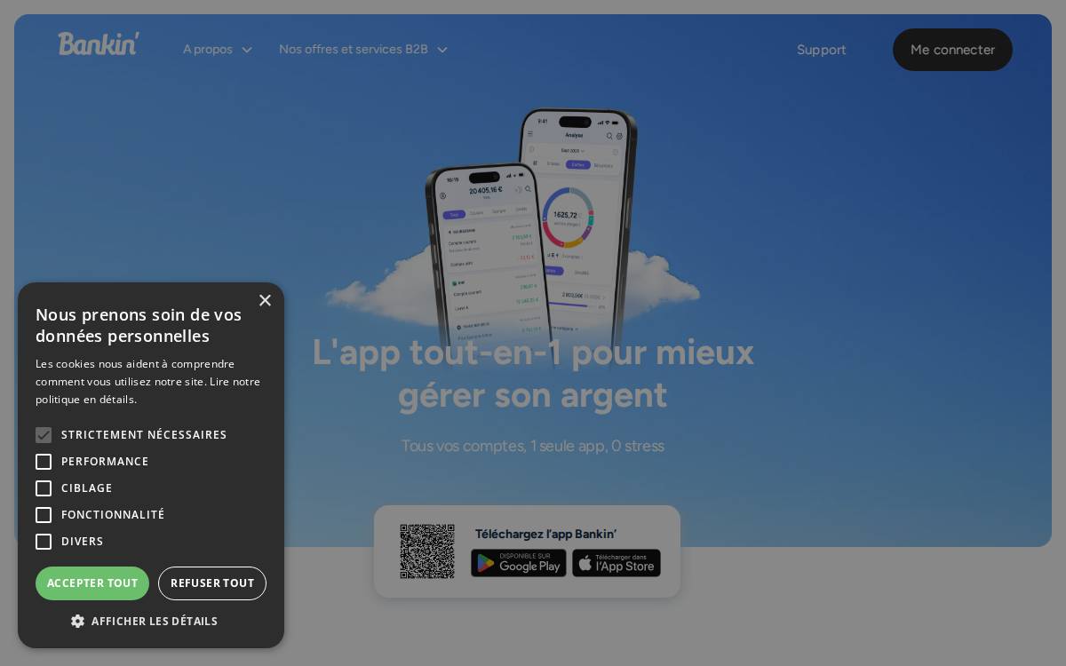 Bankin website preview