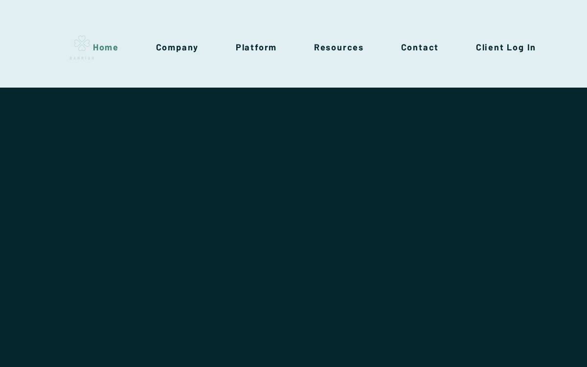 Banrioncapital website preview