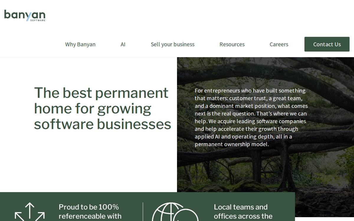 Banyan Software website preview