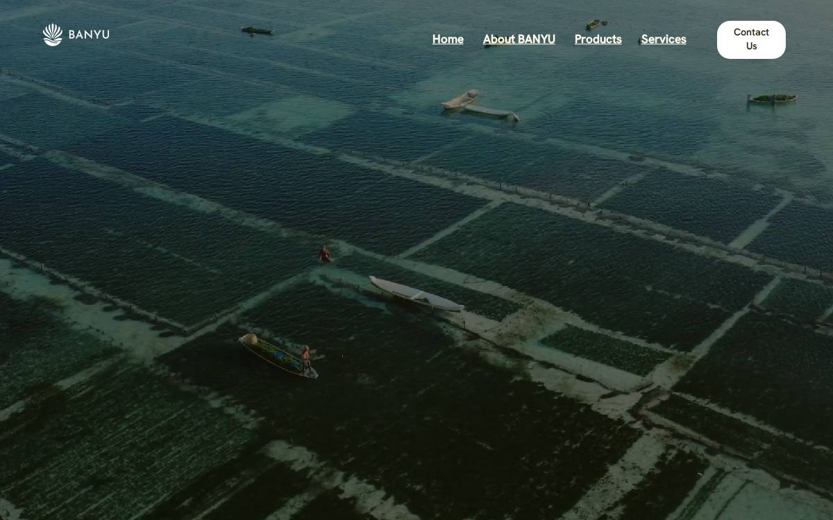 Banyu website preview