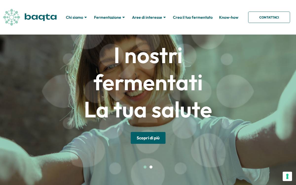 Baqta website preview